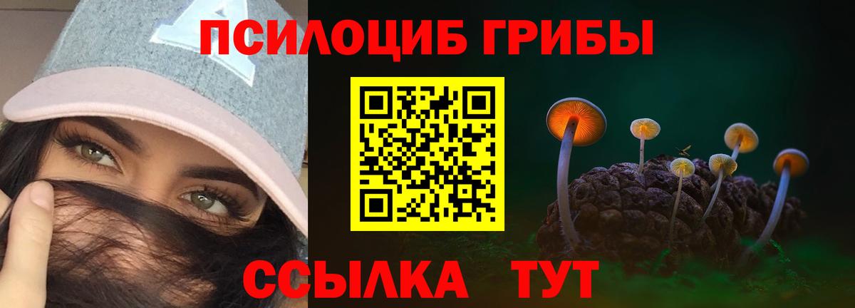 Галлюциногенные грибы прущие грибы  Вход с VPN  Богородицк 